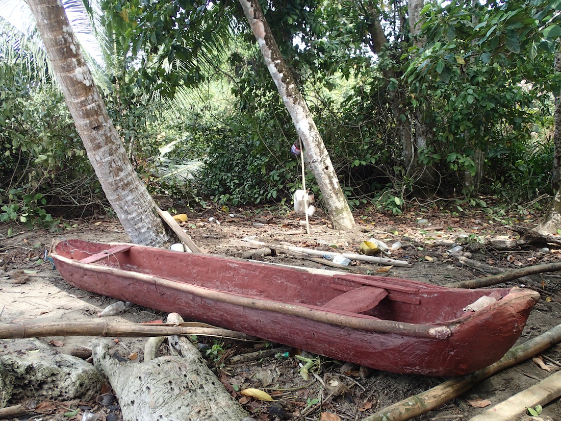 Where to get Build a dugout canoe Using the plan