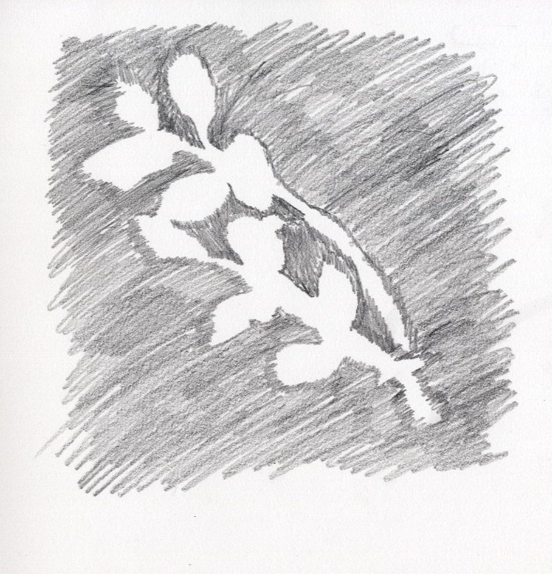 Negative Space Leaves