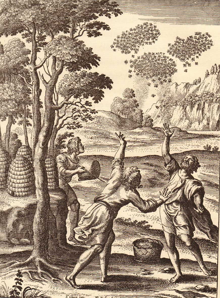 inkspired musings September National Honey Month