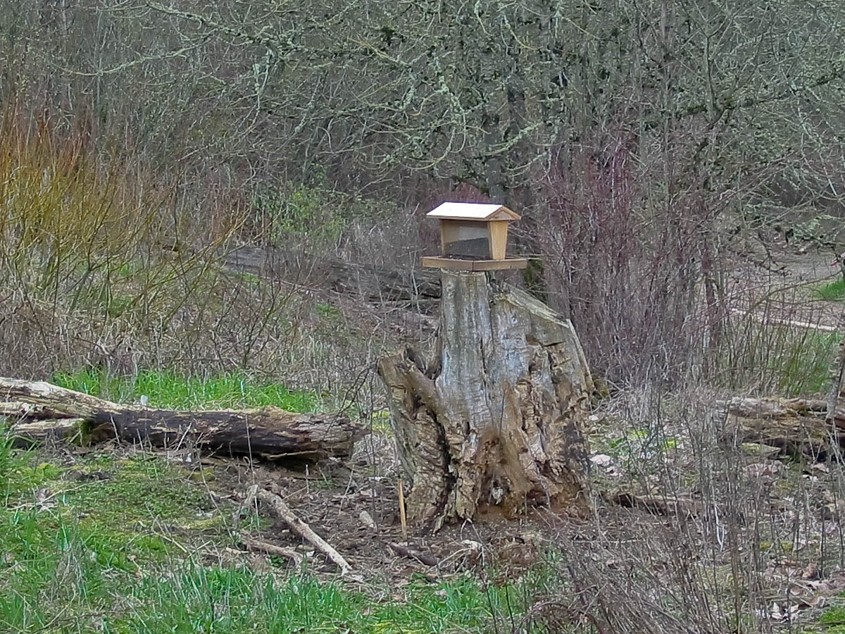 Attract birds to your backyard Part 3 Styles of bird feeders