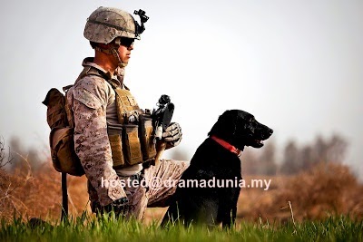 Tahukah Anda Untuk Apakah Tentera Amerika Tinggalkan Sejuta Ekor Anjing Di Iraq?