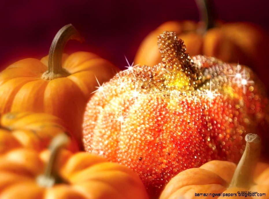 Viewing Gallery For Autumn Pumpkins Tumblr   Quotes Like Viewing Gallery For Autumn Pumpkins Tumblr   Quotes Like