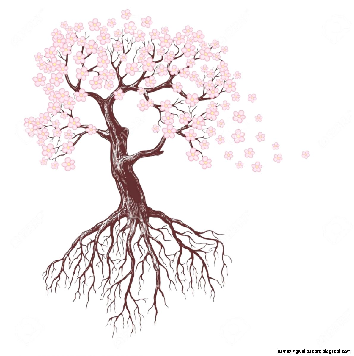 Tree Drawing Images Stock Pictures Royalty Free Tree Drawing Tree Drawing Images Stock Pictures Royalty Free Tree Drawing