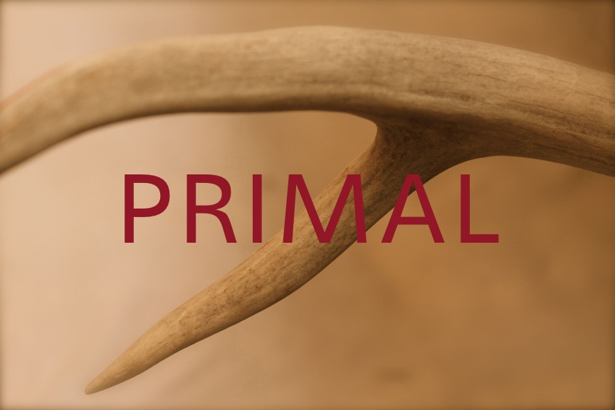 Primal meaning
