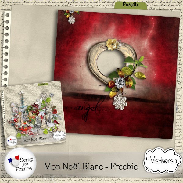 http://scrapfromfrance.fr/shop/index.php?main_page=index&cPath=88_91