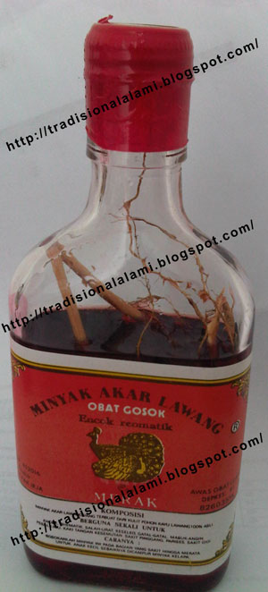 minyak akar lawang obat tradisional dan alami tanpa zat minyak akar lawang obat tradisional dan alami tanpa zat