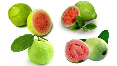 Sekilas kesehatan: Khasiat Buah Jambu Merah Untuk Kesehatan