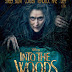 January film releases: Into the Woods and Aloft