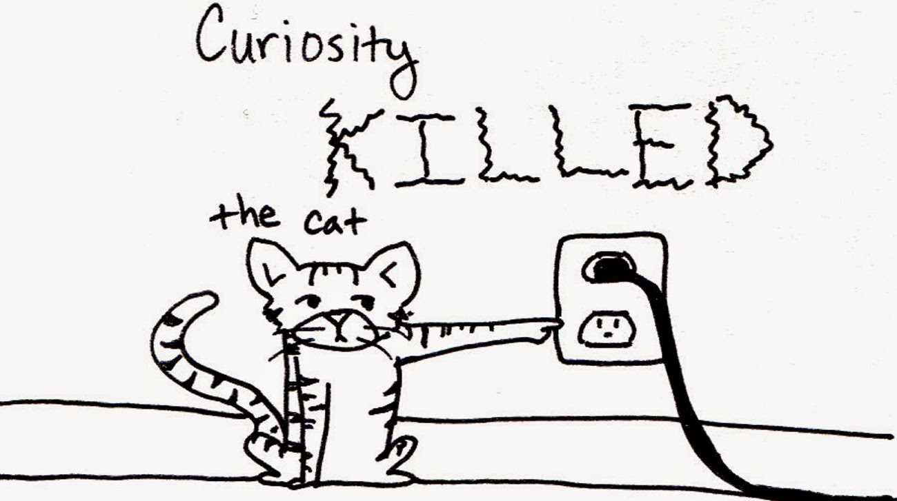 where did the phrase curiosity killed the cat come from