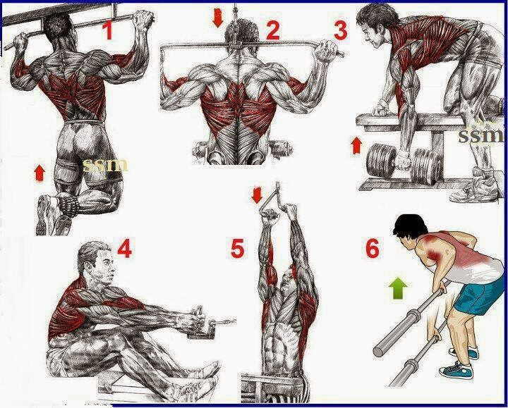 This a simple exercises for the begining's bodybuilding fitness