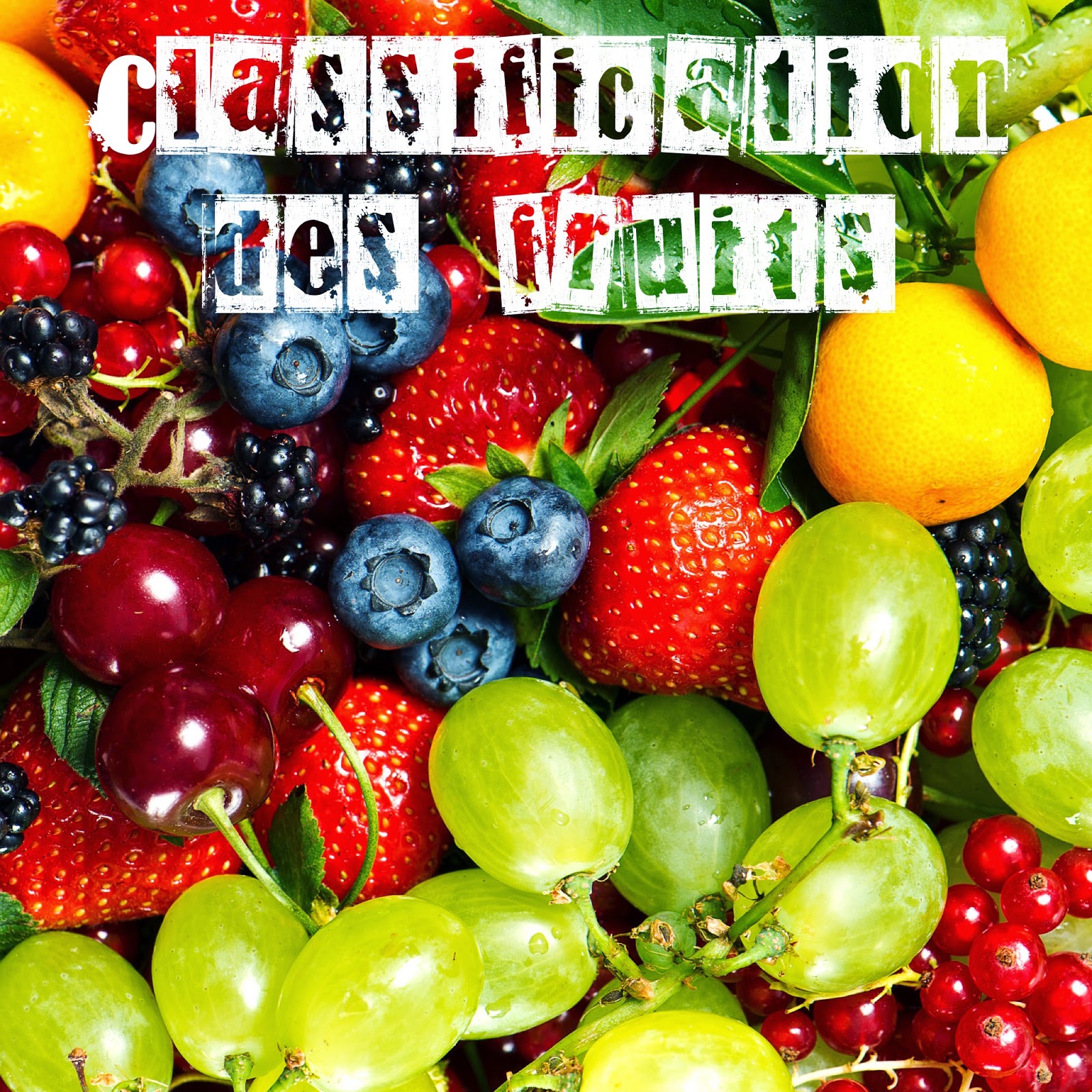 Bien Plus Que 5 Fruits Et Légumes Classification des fruits