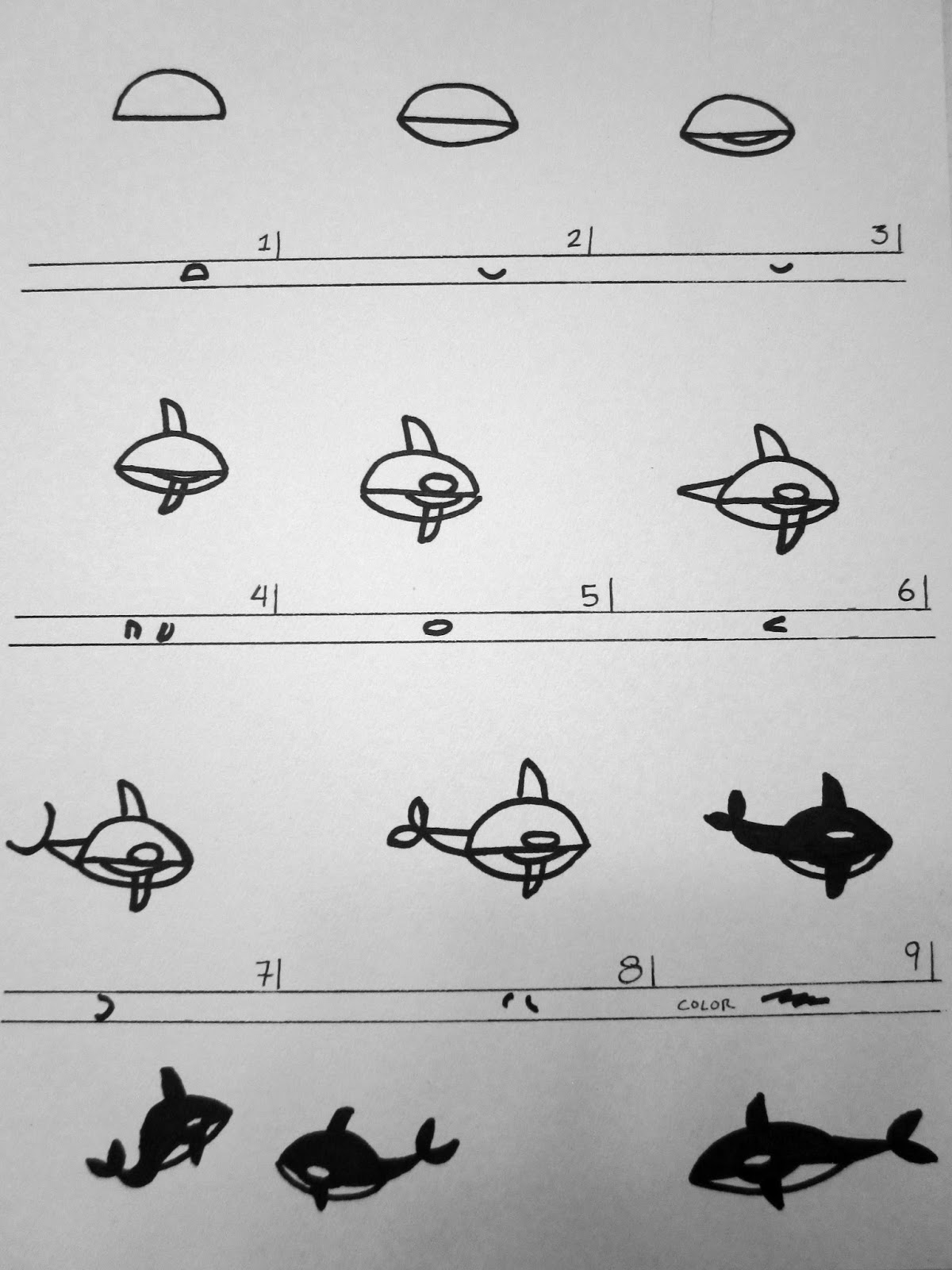 ceruleanJAY: How to Draw a Killer Whale