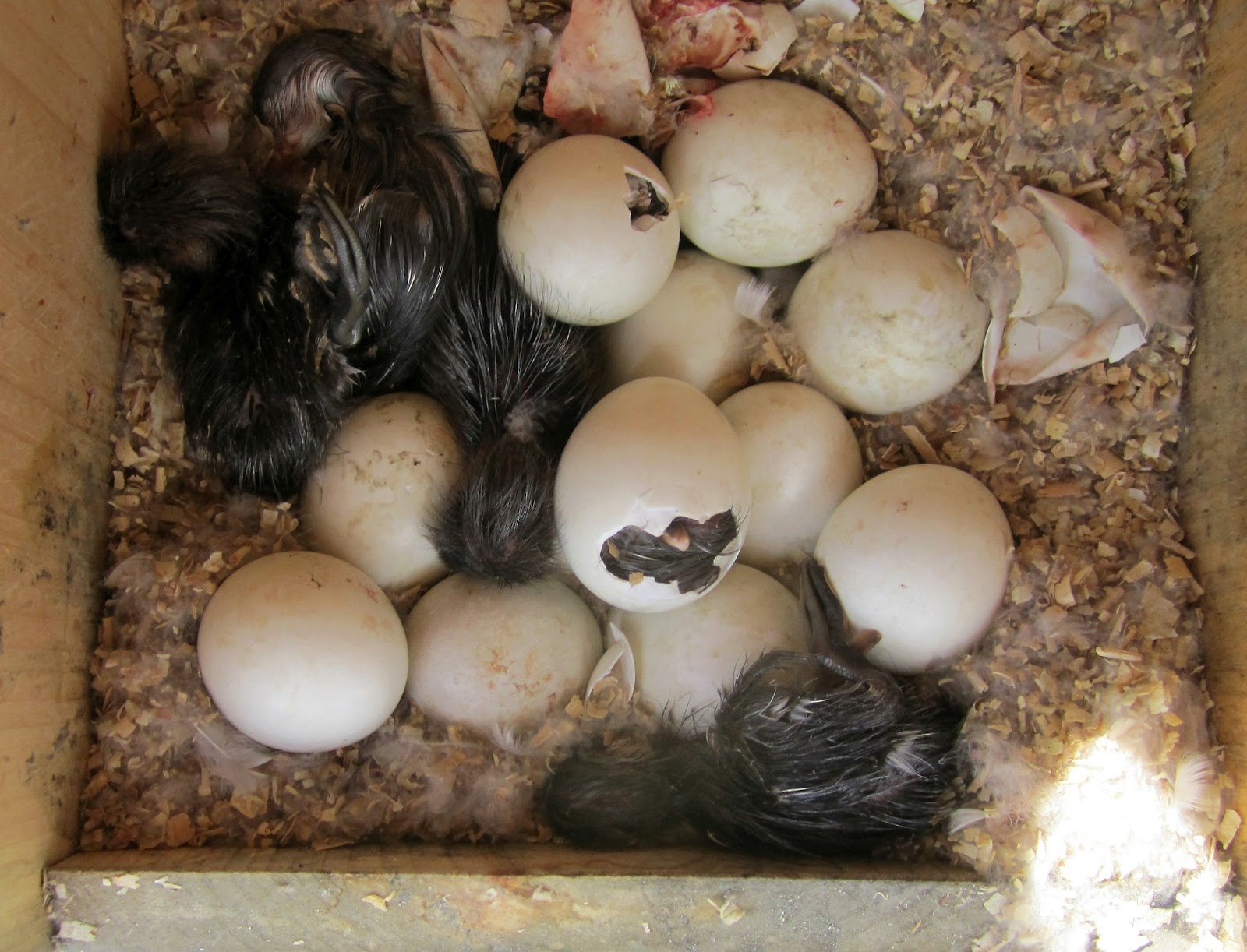 JD Christieview Farm May 2012