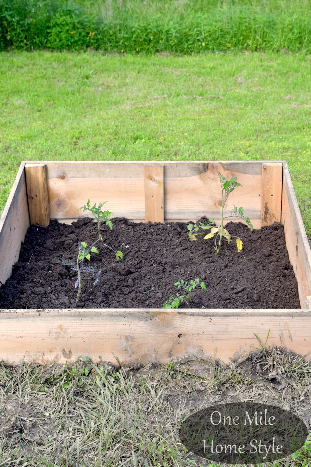 Hillside Gardening Made Easy!