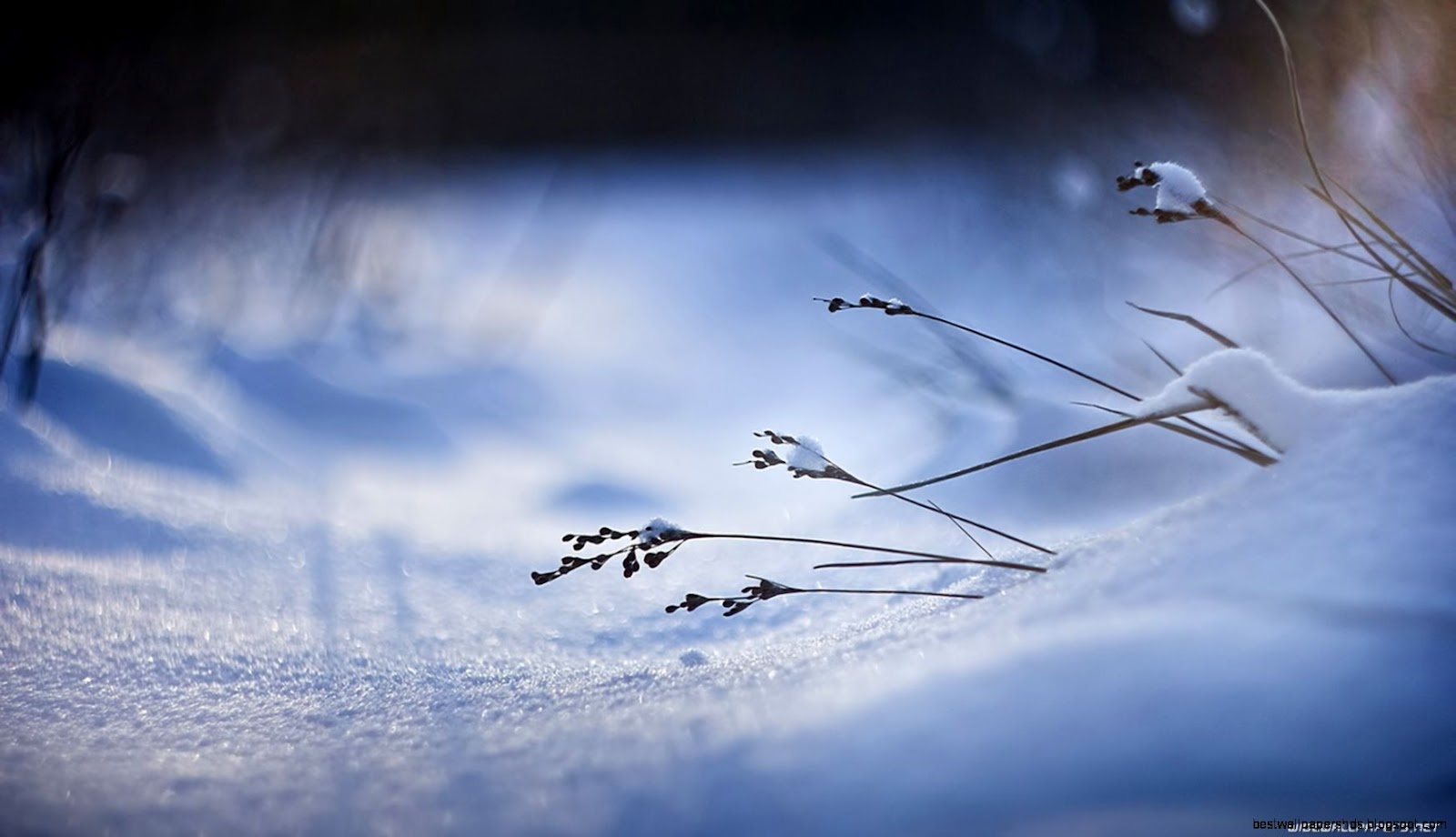 Amazing HD Winter Nature Wallpaper for Desktop Amazing HD Winter Nature Wallpaper for Desktop