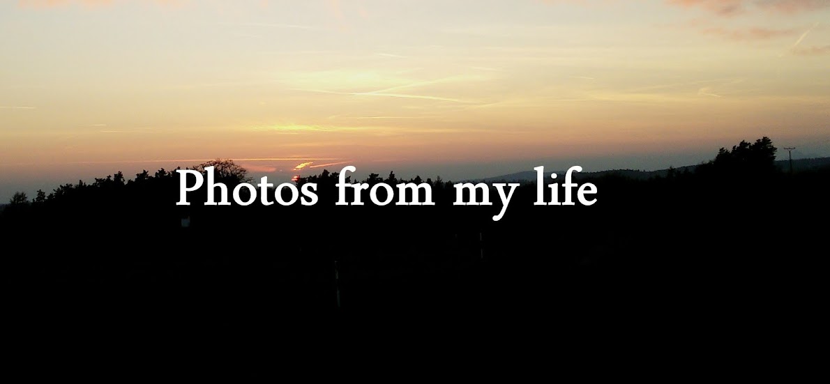 Photos from my life♥