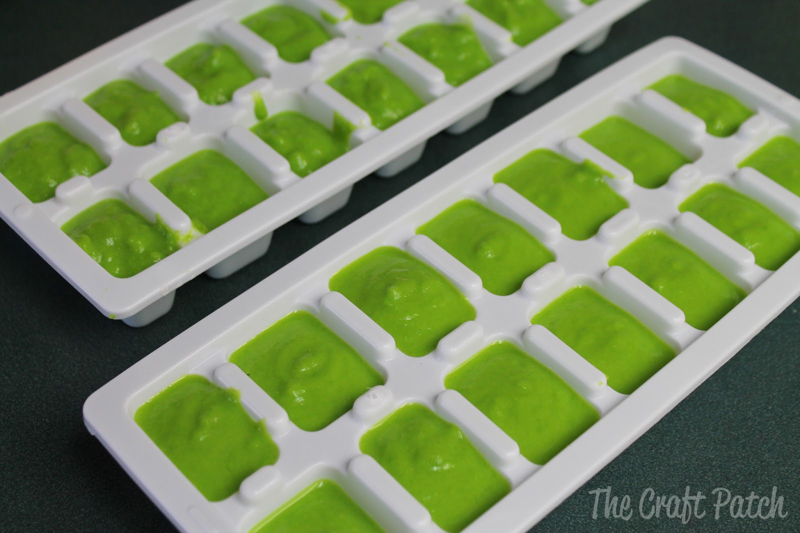 The Craft Patch Make Your Own Baby Food