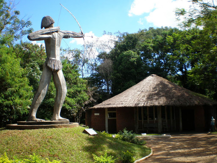 BOSQUE XETÁ - Sala Aré ANTES