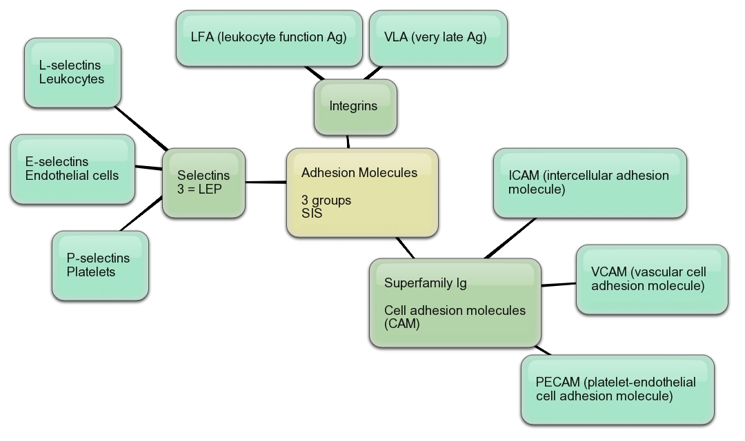 literature review on the use of mind map in education Literature review tips various ways of structuring your “literature map” to see which seems most using a mind map to see the relationships. literature review on the use of mind map in education Literature review tips various ways of structuring your “literature map” to see which seems most using a mind map to see the relationships.