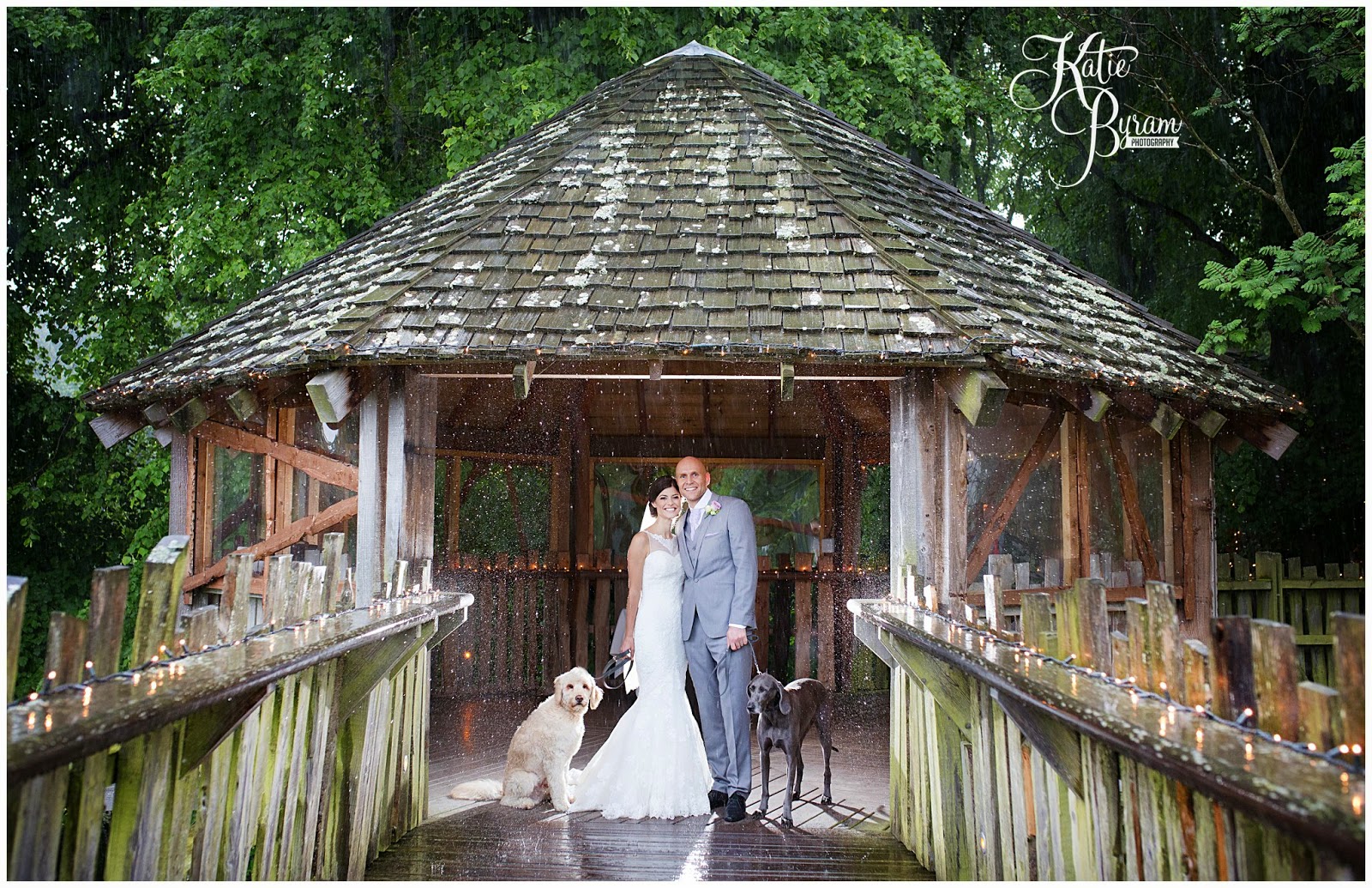 A Twinkly Light Wedding At Alnwick Treehouse Eric Alexis