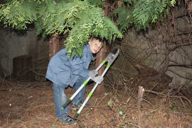 Uns Hus Ein Bericht Uber Die Renovierung Eines Bauernhofes Aus