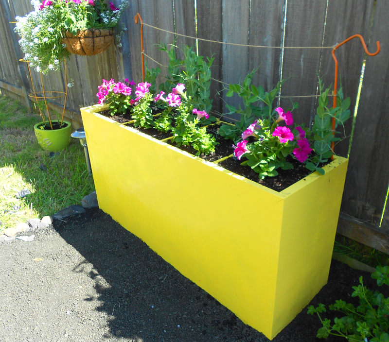 abby File Planters
