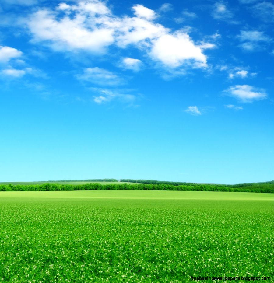 Why the Sky is Blue Why the Sky is Blue