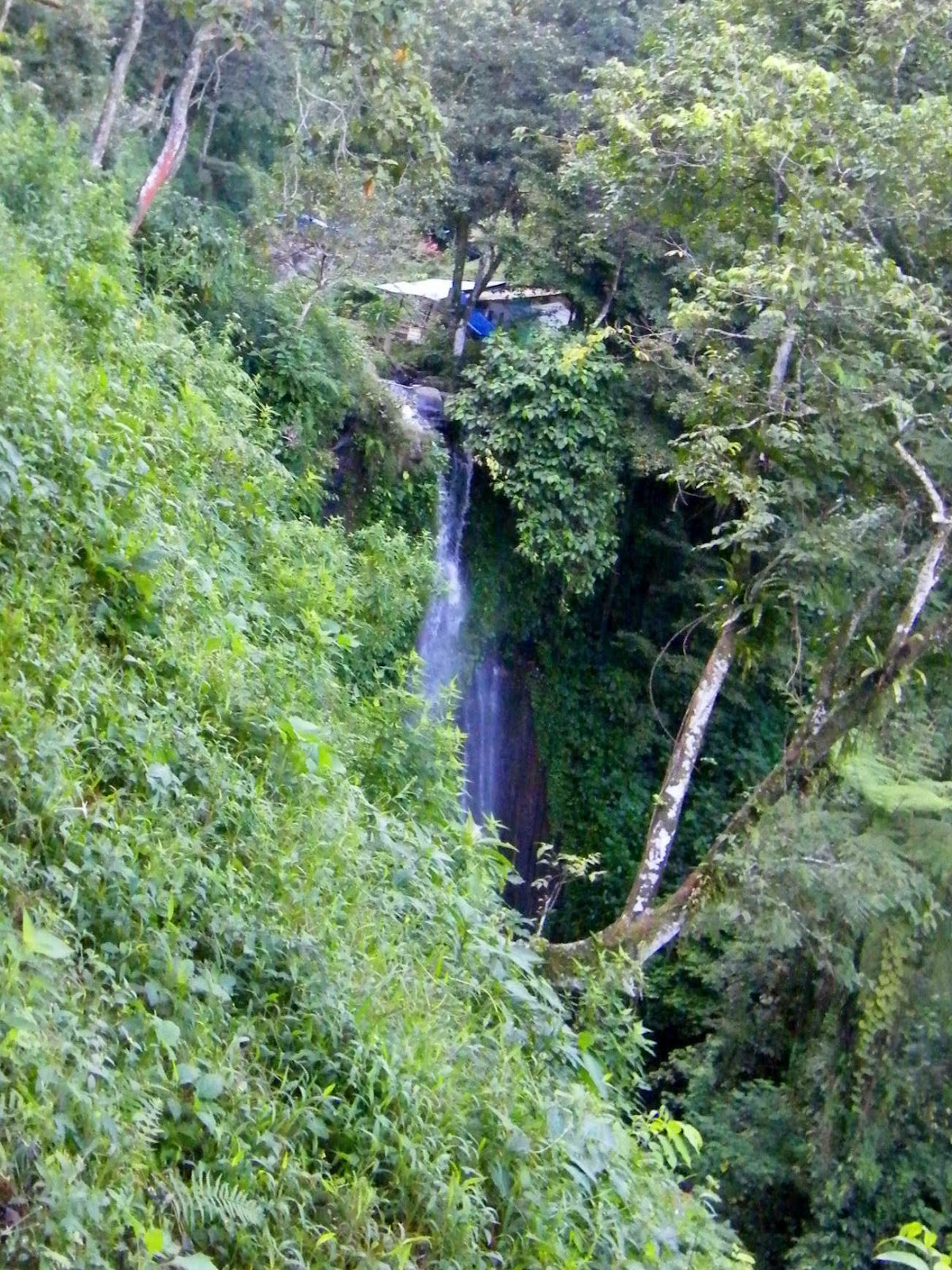 CECEP ASIANA SIANTARA: CAMPING MEDICAL CURUG NANGKA - BOGOR