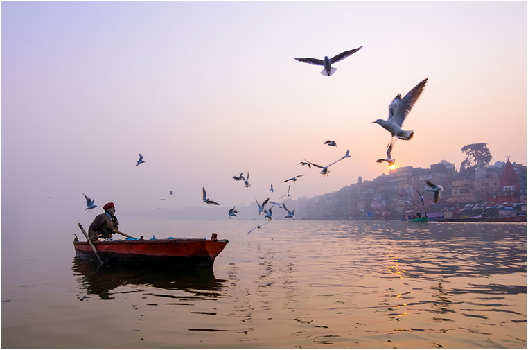 Emerging Photographers, Best Photo of the Day in Emphoka by Adithya Anand Emerging Photographers, Best Photo of the Day in Emphoka by Adithya Anand