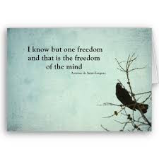 More About The Author