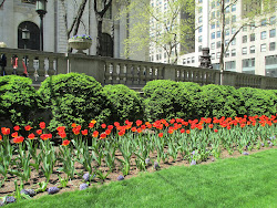 NY Public Library