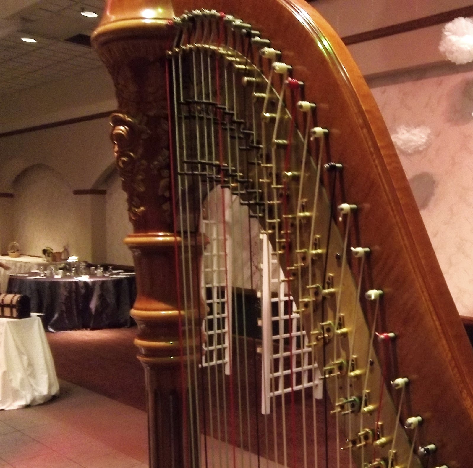 Northeast Indiana Wedding Harpist Ceremony at Pokagon State Park