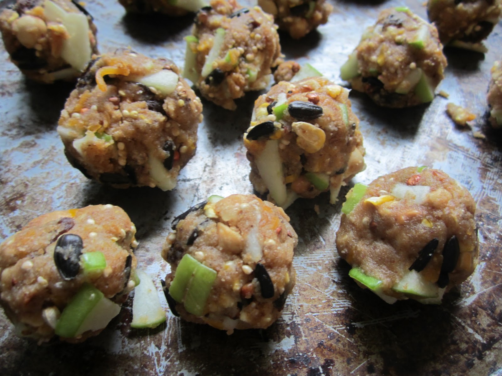 Bird Seed Balls Homemade at Gladys Huang blog