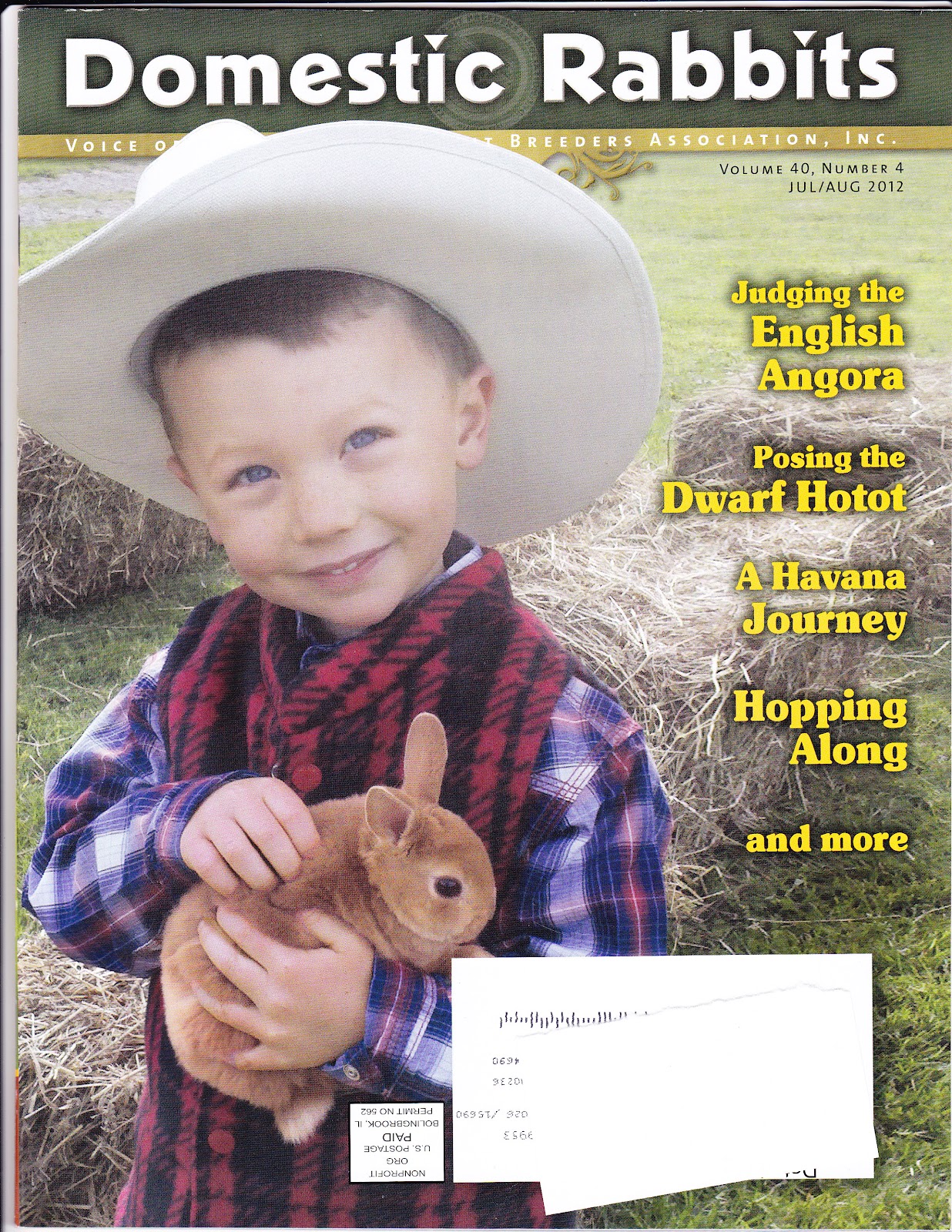 Fuzzibutt's Rabbitry Domestic Rabbits Magazine