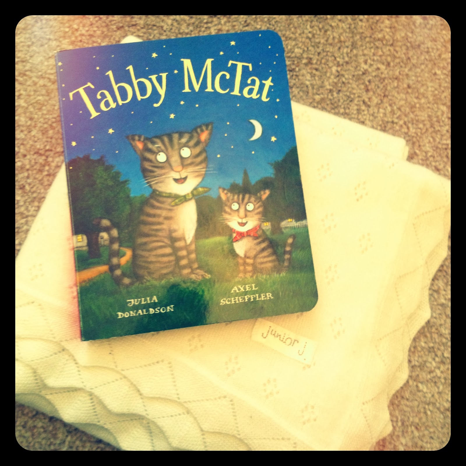 Tabby McTat - our fave cat book - mamas V.I.B