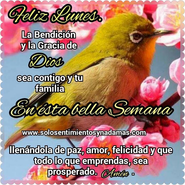 Imagen relacionada