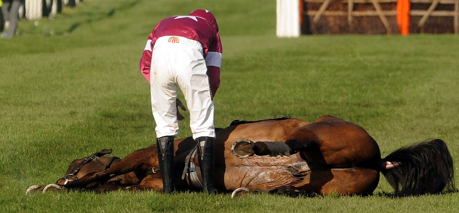 The National Horror The True Horror of the Grand National