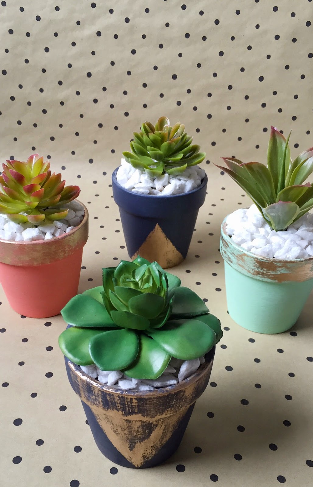 Home Made Austin Hopping into Spring with Colorful Succulents + Dollar