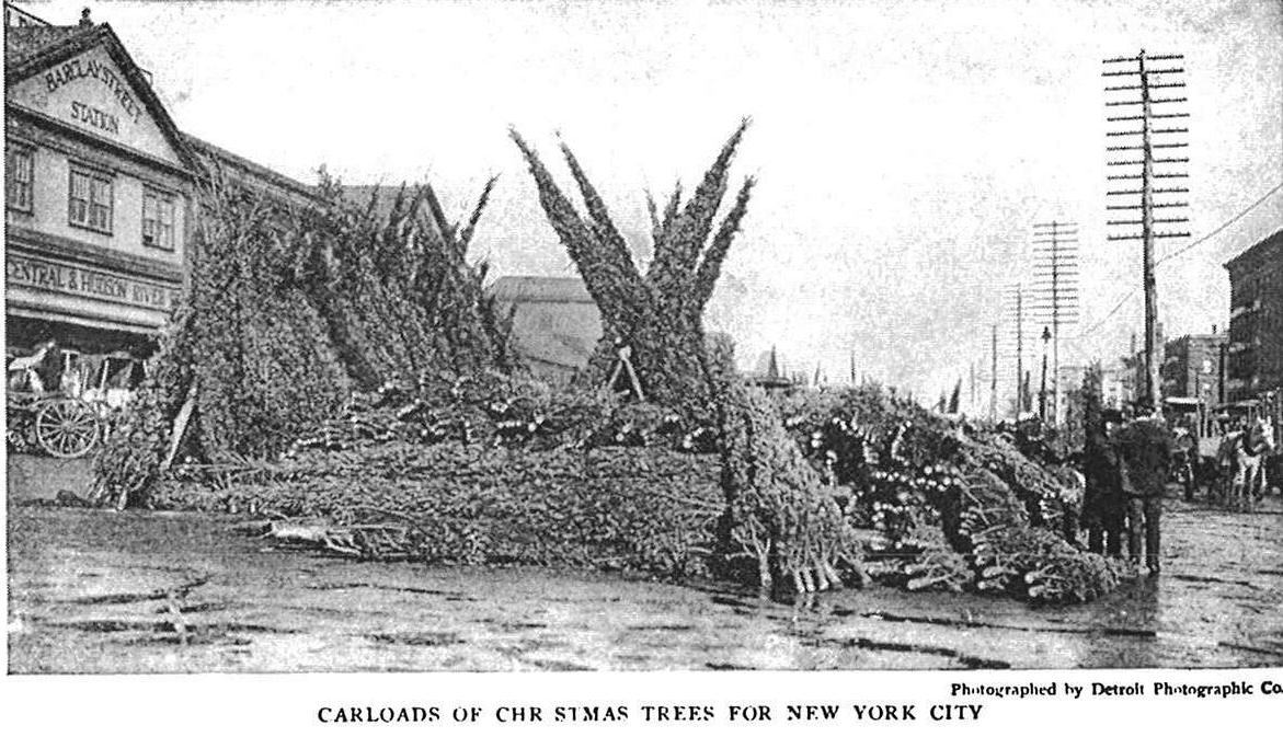 Daytonian in Manhattan A New York City Christmas in 1905