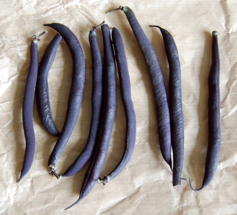 mugofstrongtea things that have appeared in my kitchen this week