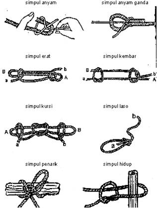 Amir Caesar Racana Pioneering Amir Caesar Racana Pioneering