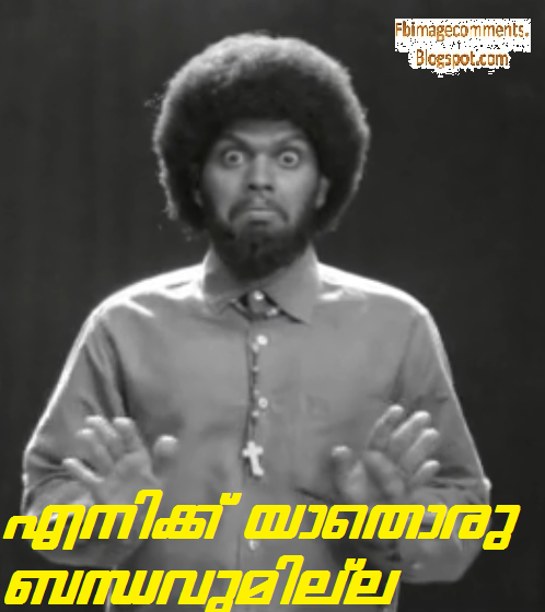 Honey Bee movie dialogues