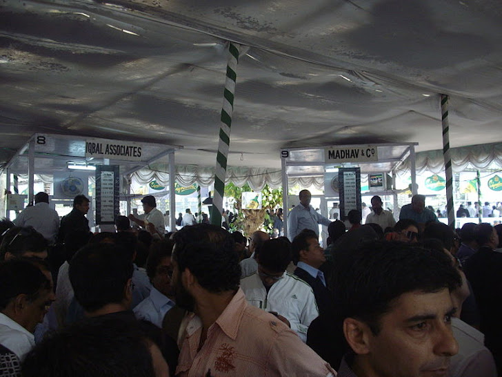 Horse-Racing "Bookie Stalls" at the Mumbai Race-course in Mahalaxmi.
