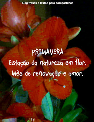 blog frases e textos pr compartilhar