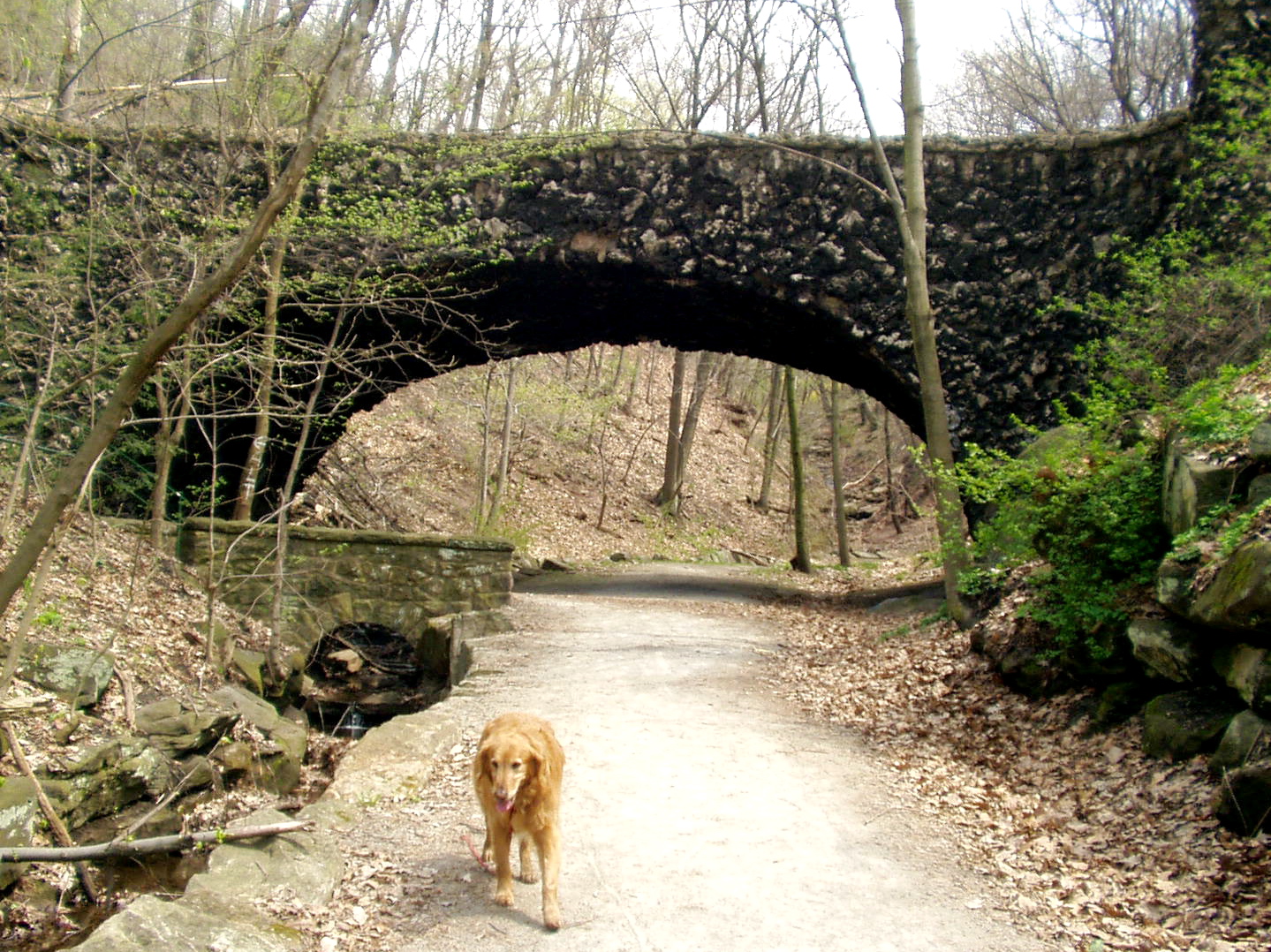 hikewithyourdog Schenley Park