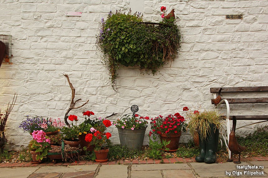 Уютная Чайная в Амберли Amberley Village tea room Путешествуйте