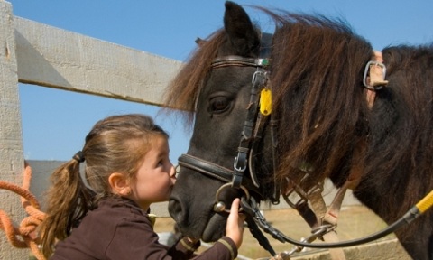 girl kissing horse