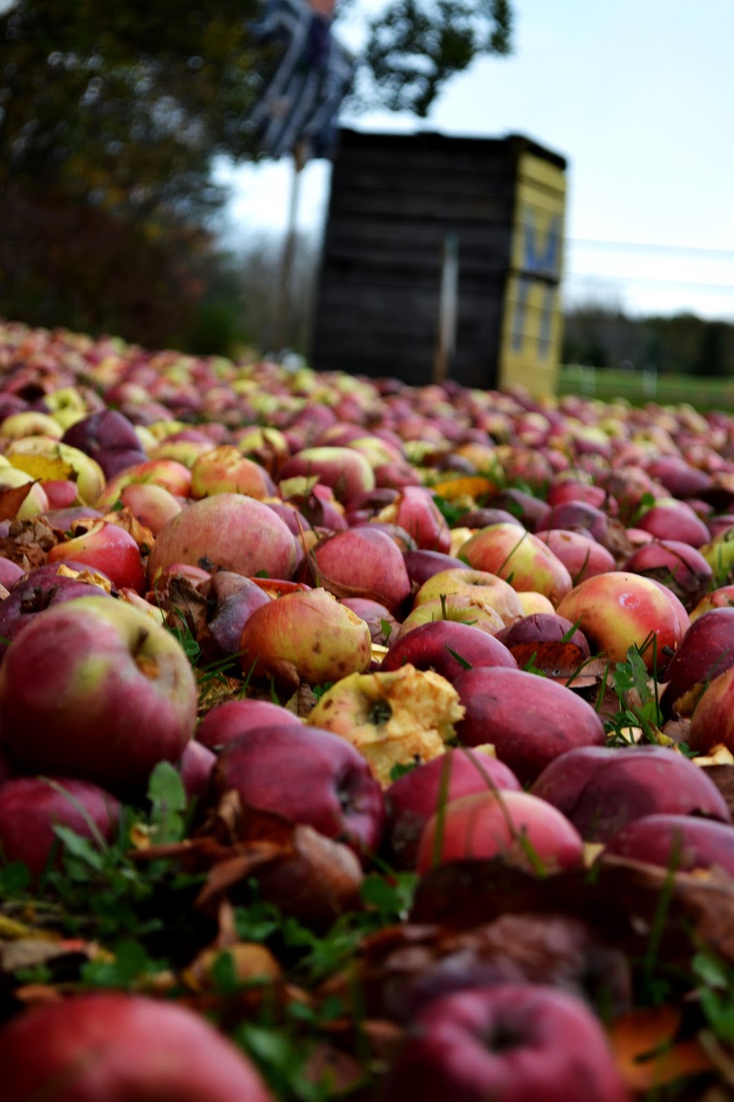Simple Savory & Satisfying Peanut Butter Baked Apples