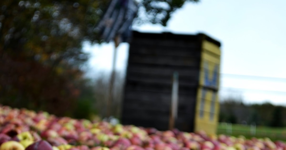 Simple Savory & Satisfying Peanut Butter Baked Apples