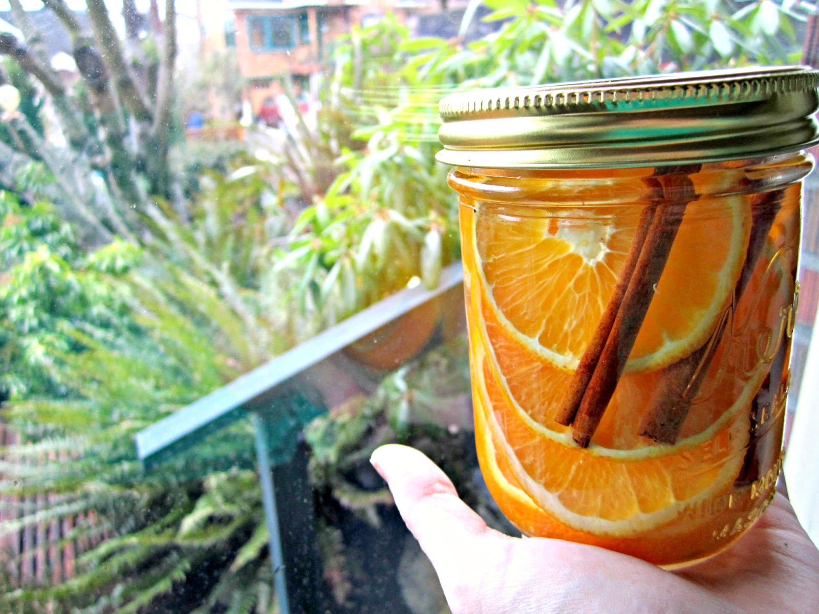 JellyBones DIY Simmering winter potpourri